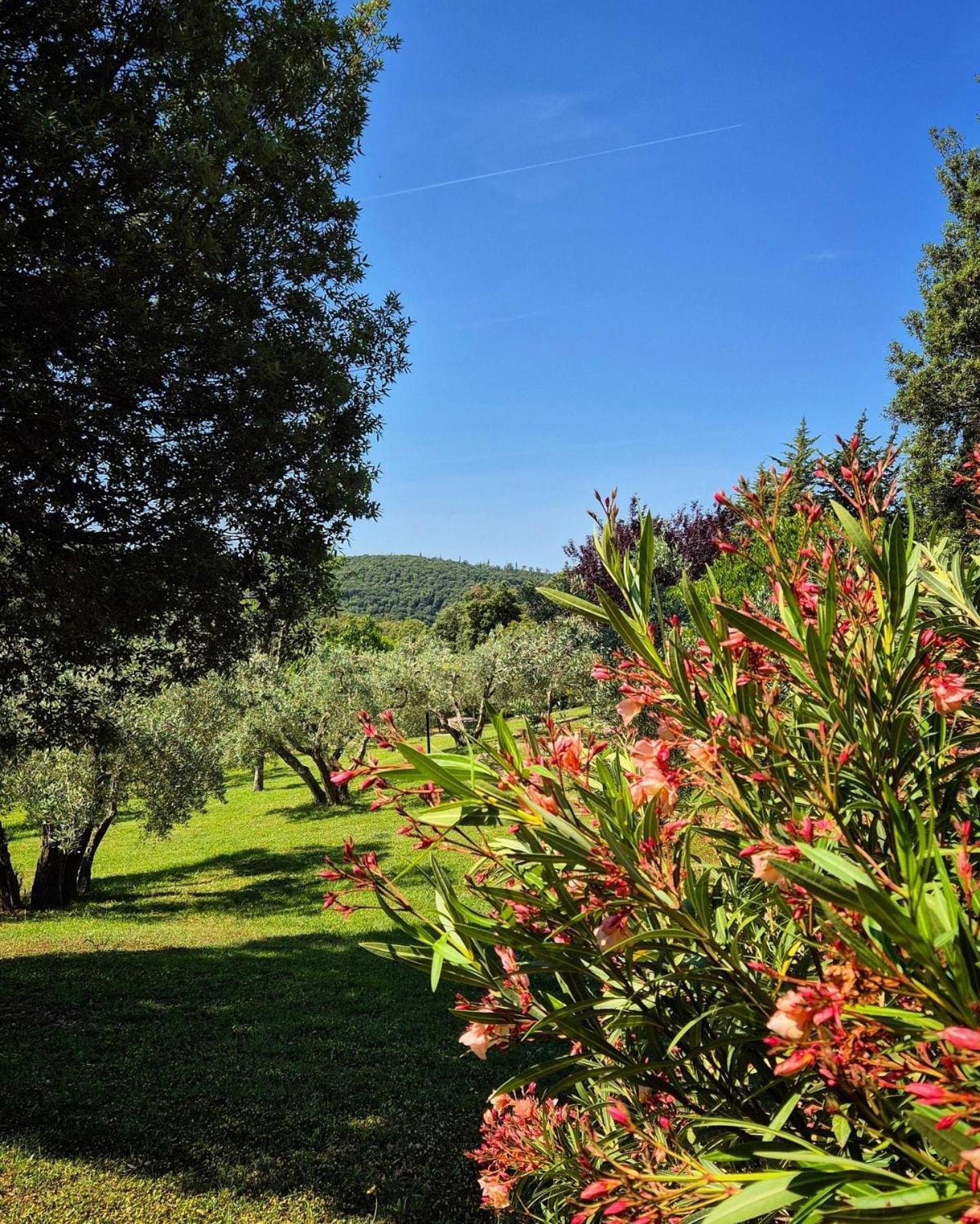 Tenuta Aronne Massa Marittima Exterior photo